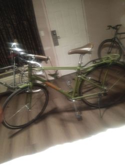 Giant.  Momentum Green Vintage Cruiser Bicycle with Rear Rack