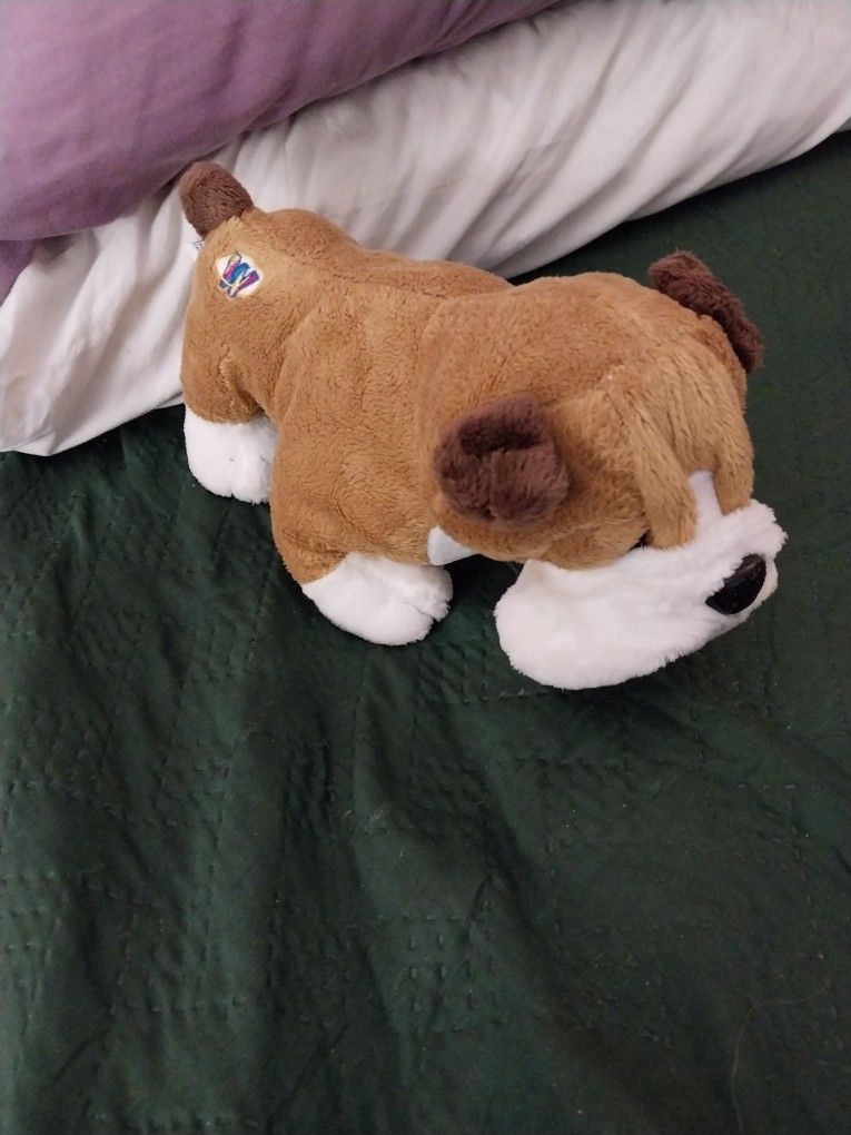 Webkins Bulldog Animal 10 Dollars