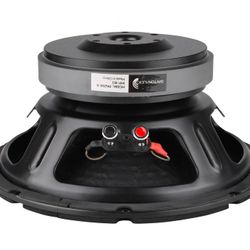 4 Speakers.  10" Pro Woofer 8 Ohm
Dayton Audio PA255-8 Speaker