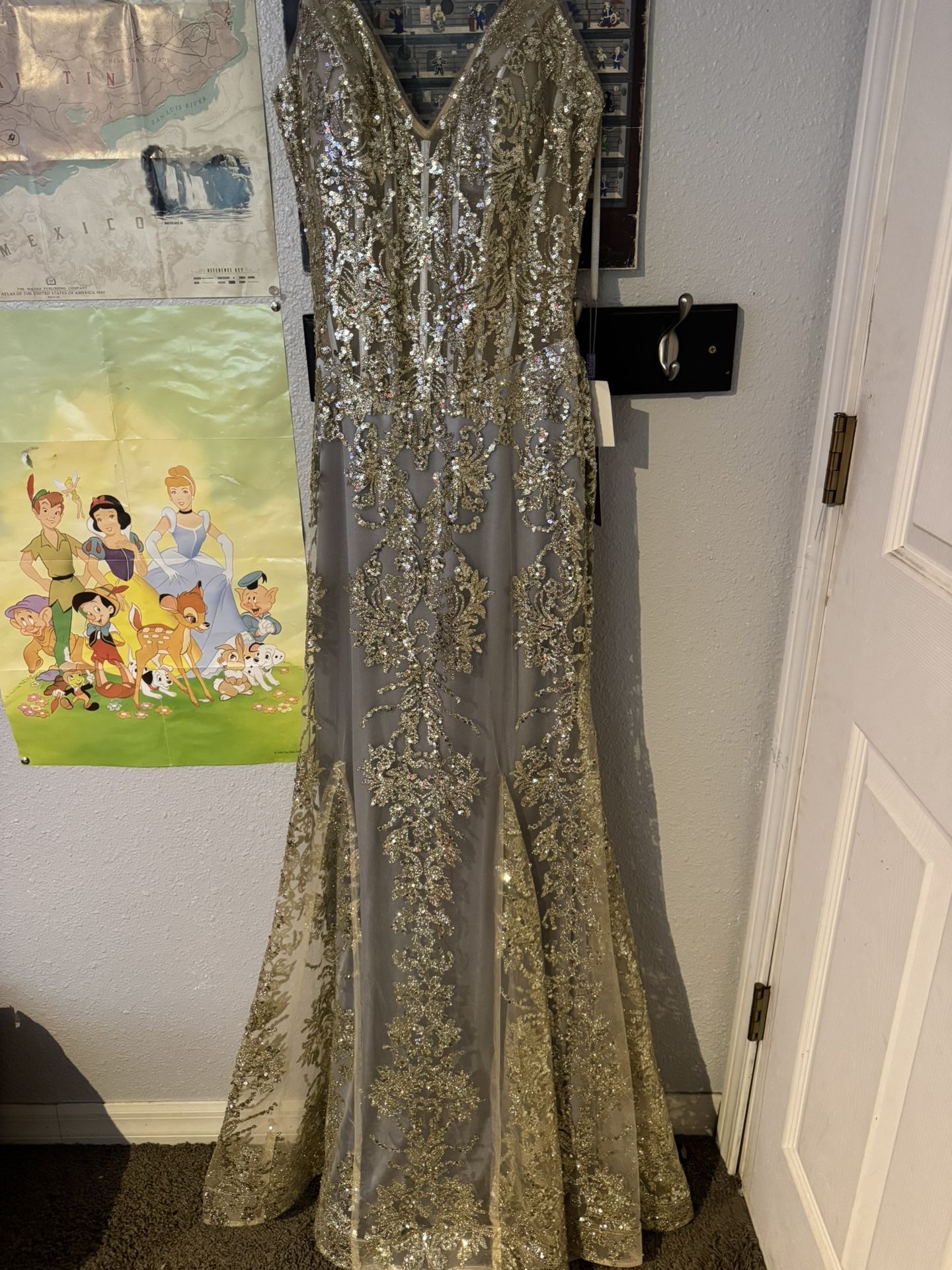 Silver/Gold Prom Dress