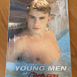 Young Men of Falcon paperback 2003