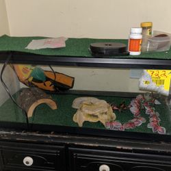 Reptile Tank 