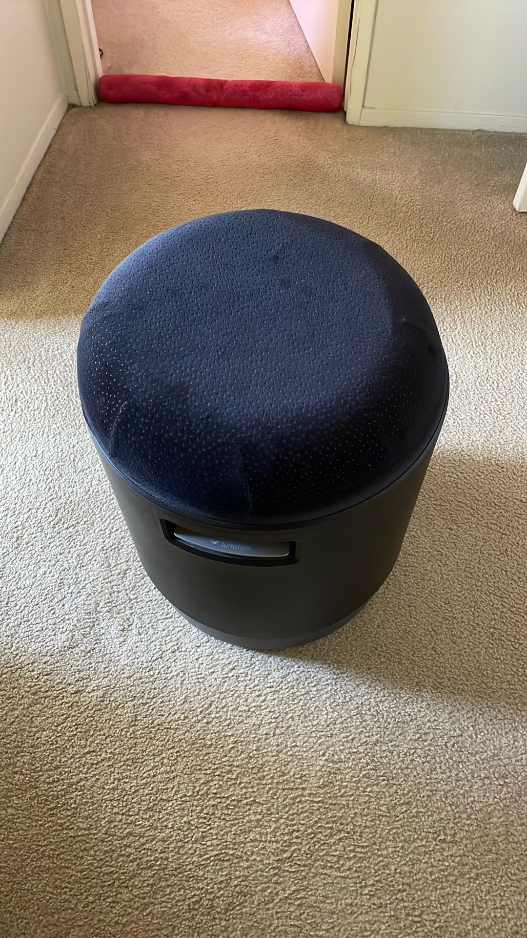 Steelcase Turnstone Buoy and seat cushion