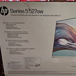 Computer Monitor 