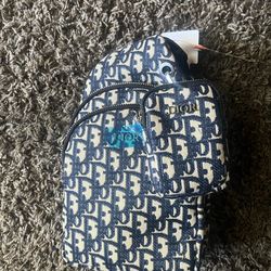 New Dior sling bag