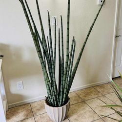 Artificial Faux Sansevieria Snake Plant In Pot Home Decor 5ft Tall (Phoenix)