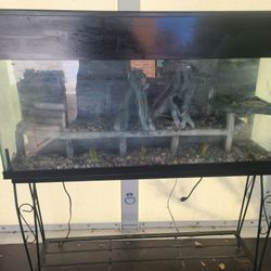 Vivarium/ Terarium 