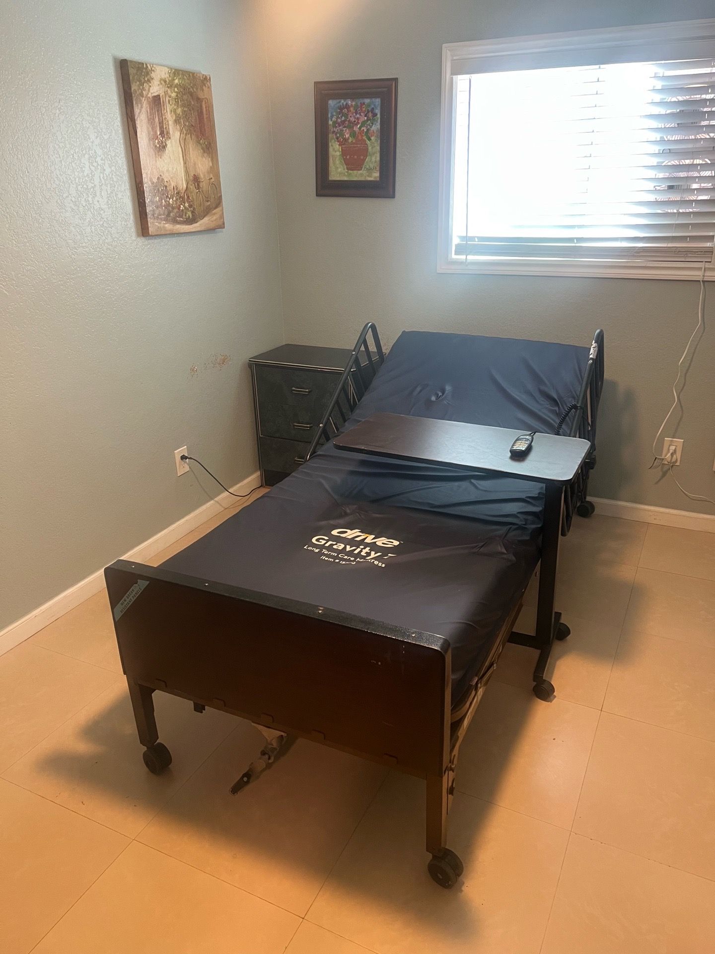 Electric Hospital/Hospice Bed