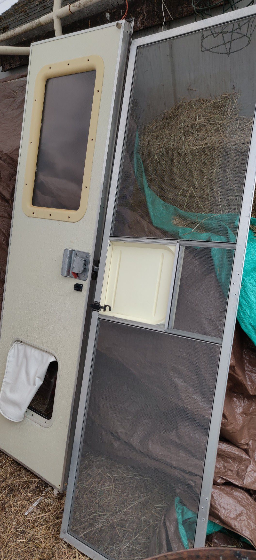 Camper door and screen