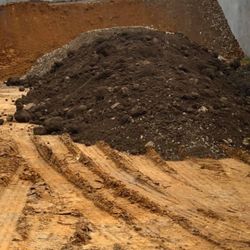 🚨🚨 Free Dirt Free Delivery 🚨