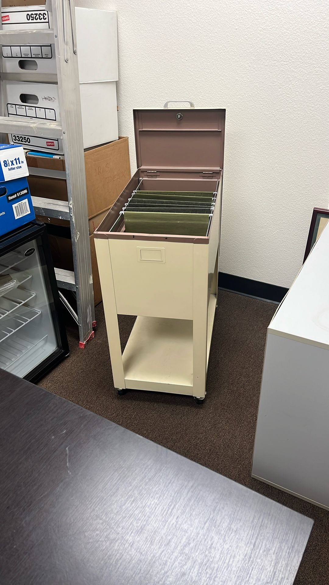 Mobile File Cart, Rolling File Cabinet Hanging Letter/Legal Size with Sliding Cover, Office File Organizer on Wheels