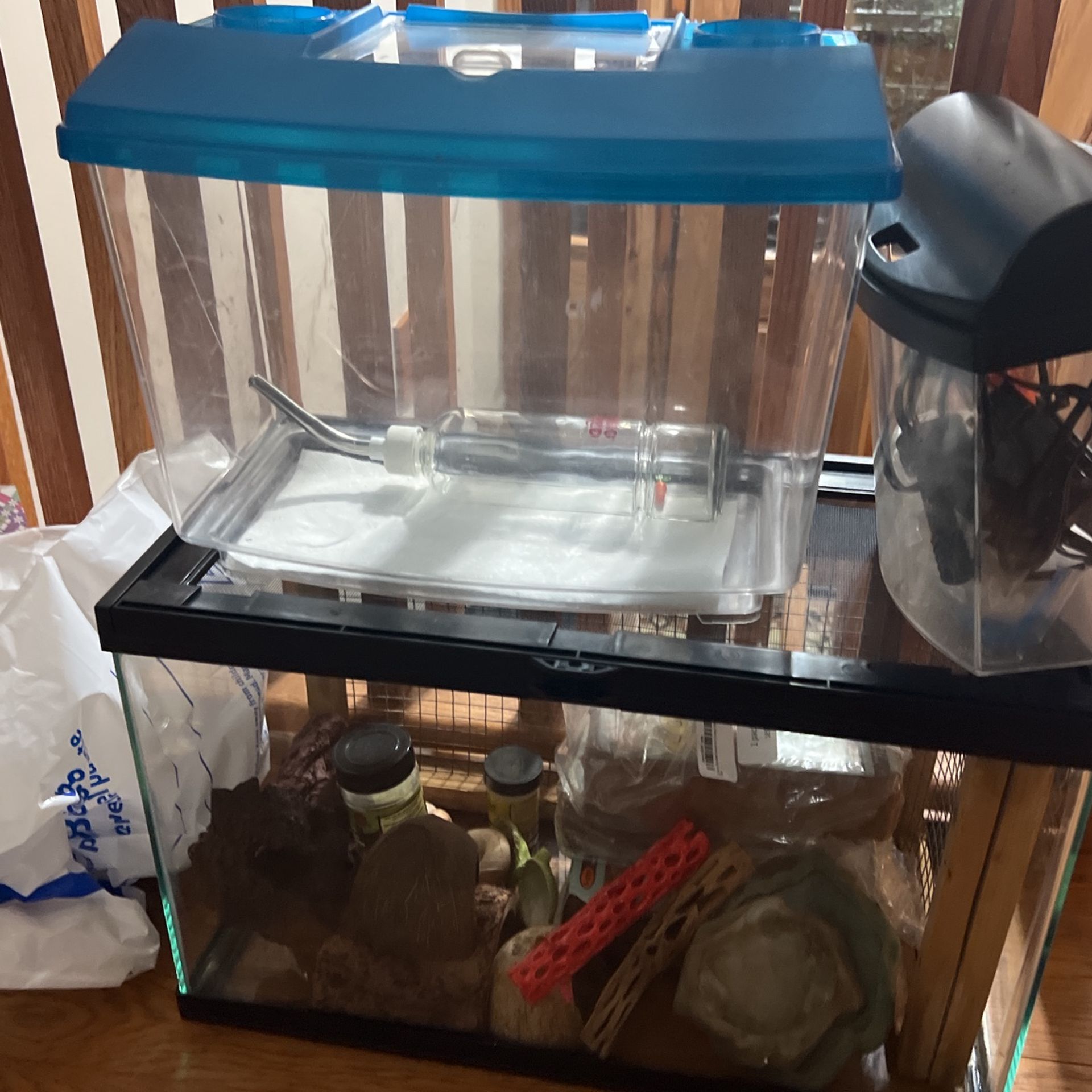 10 Gallon Fish Tank Or Complete Hermit Crab Setup