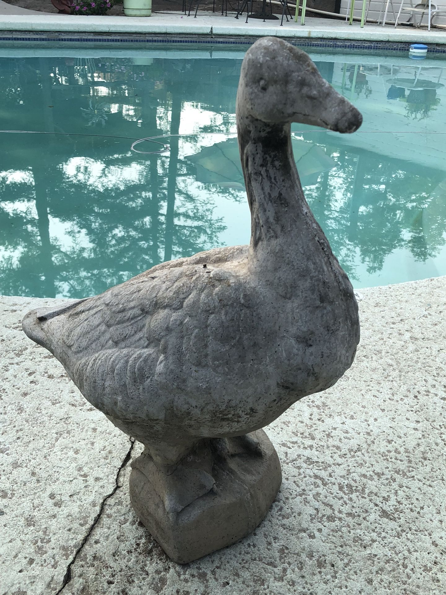 Large heavy cement goose 23 inches high grade addition to your yard patio porch or garden