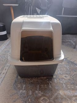 Cat items