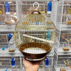 Bird Cage