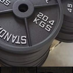 Pair of Steel Olympic 45 Lb Plates 