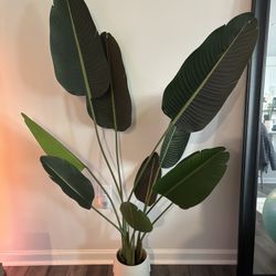 Birds Of Paradise (faux)