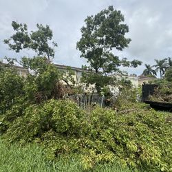  Please write to me at this number (contact info removed)