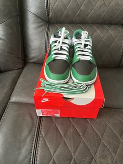 Brand new Dunks low retro