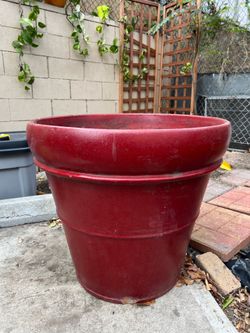 Bright Red Plant Pot