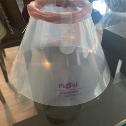 E Collar For Cat Or Small Dog