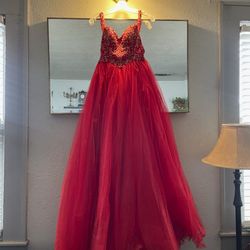 Quinceanera Dress Or A Prom Dress Or Just For A Special Occasion
