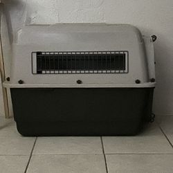 Large Kennel