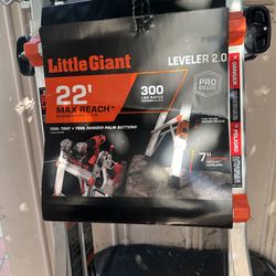 Little Giant Ladder