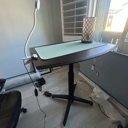 Adjustable standing desk with light and reading light or zoom lighting