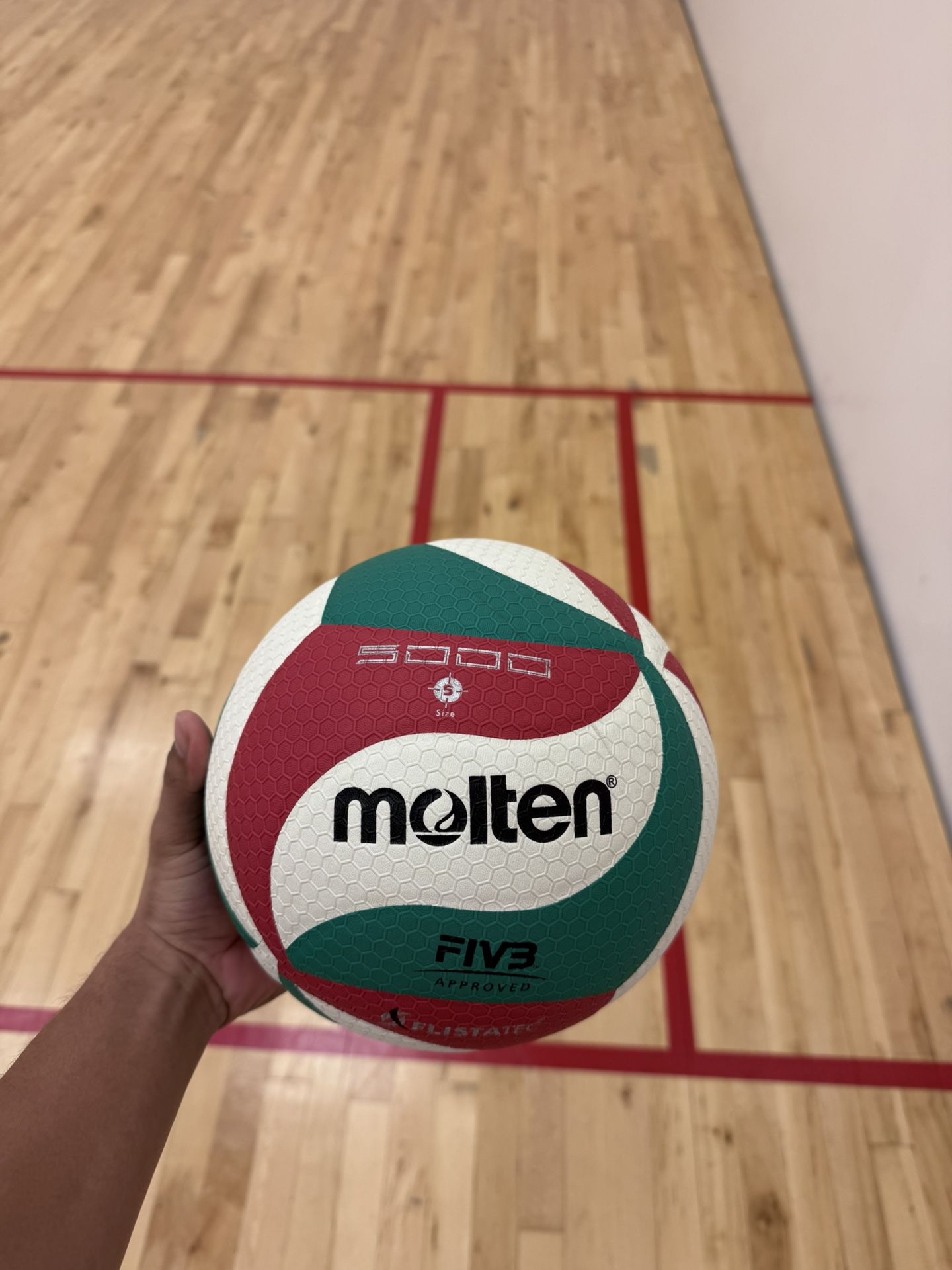 Molten Volleyball