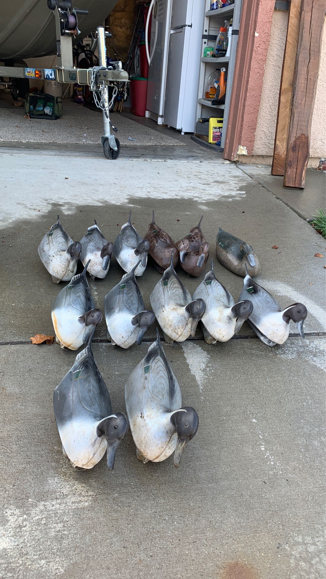 Duck Decoys