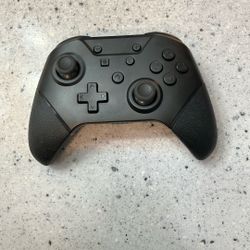 Nintendo Pro Controller 
