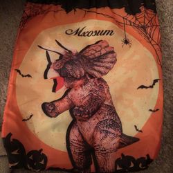 Dinasour Costume  12 Yrs And Up