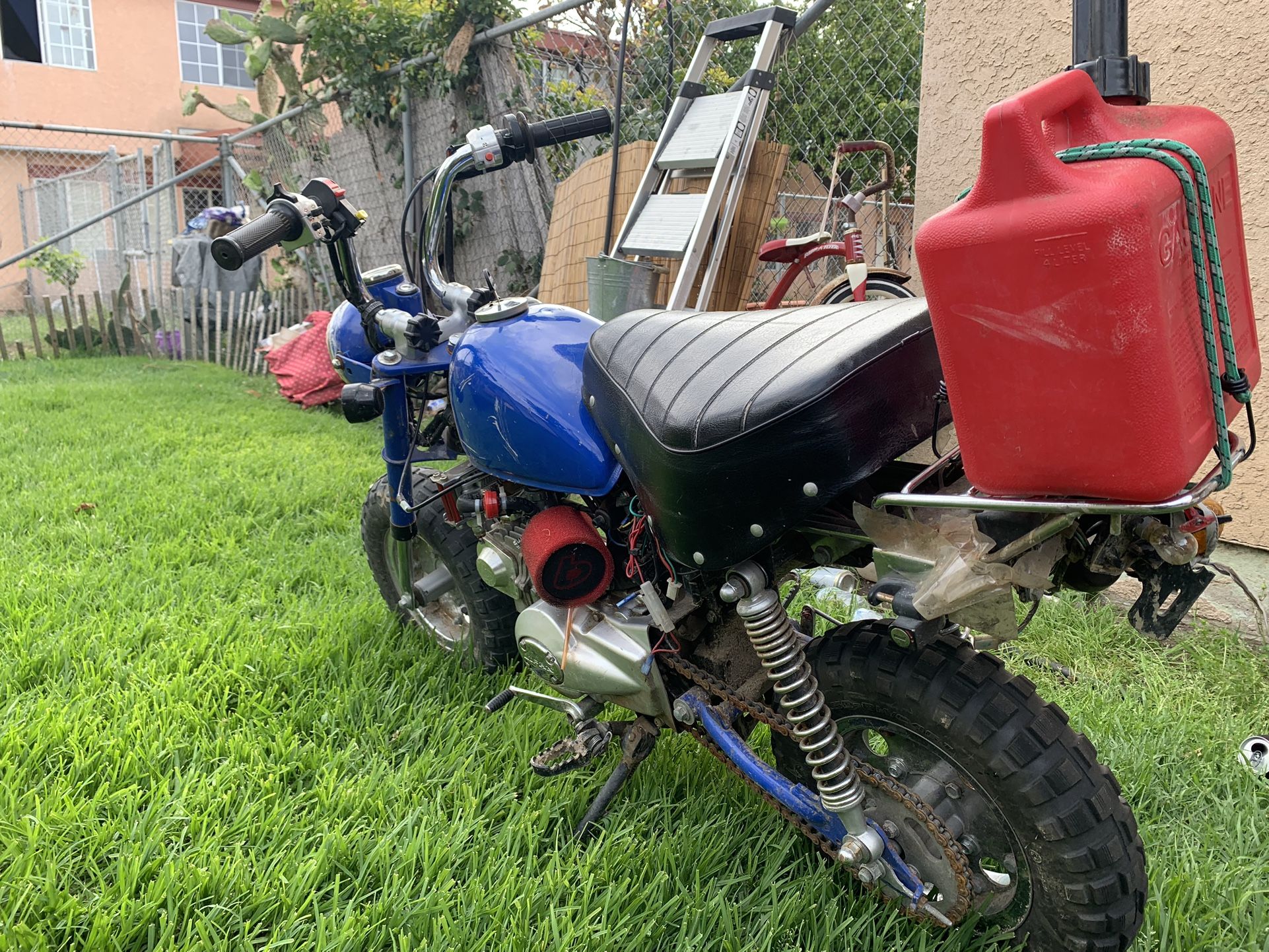 Z50 Honda Blue Mini