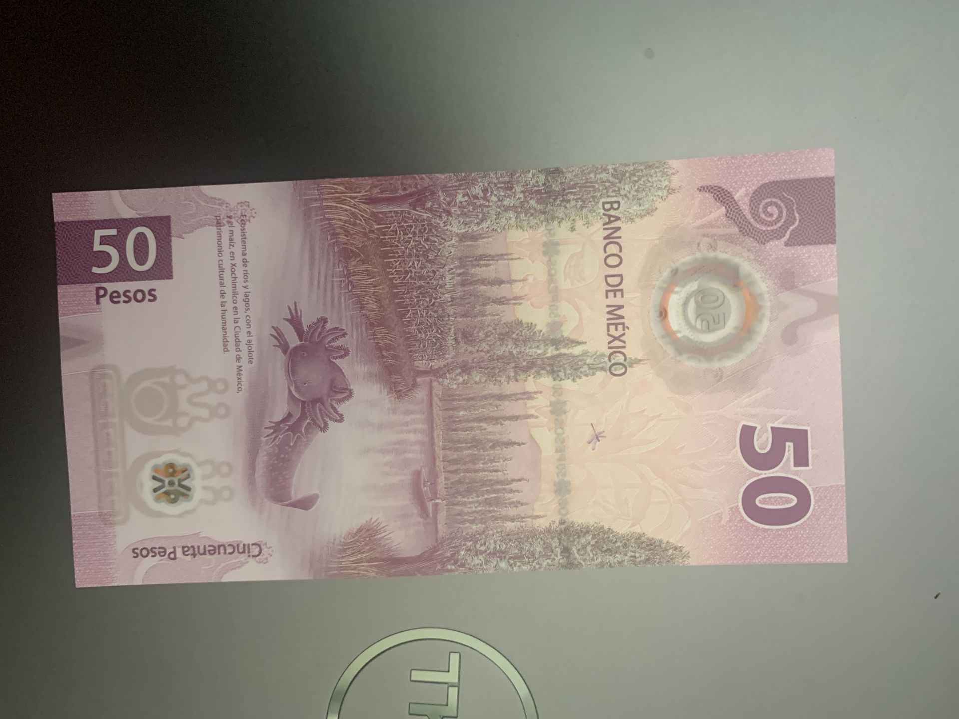 Billete Mexicano
