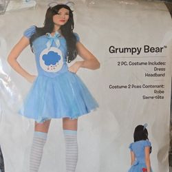 Grumpy Bear Adult Costume