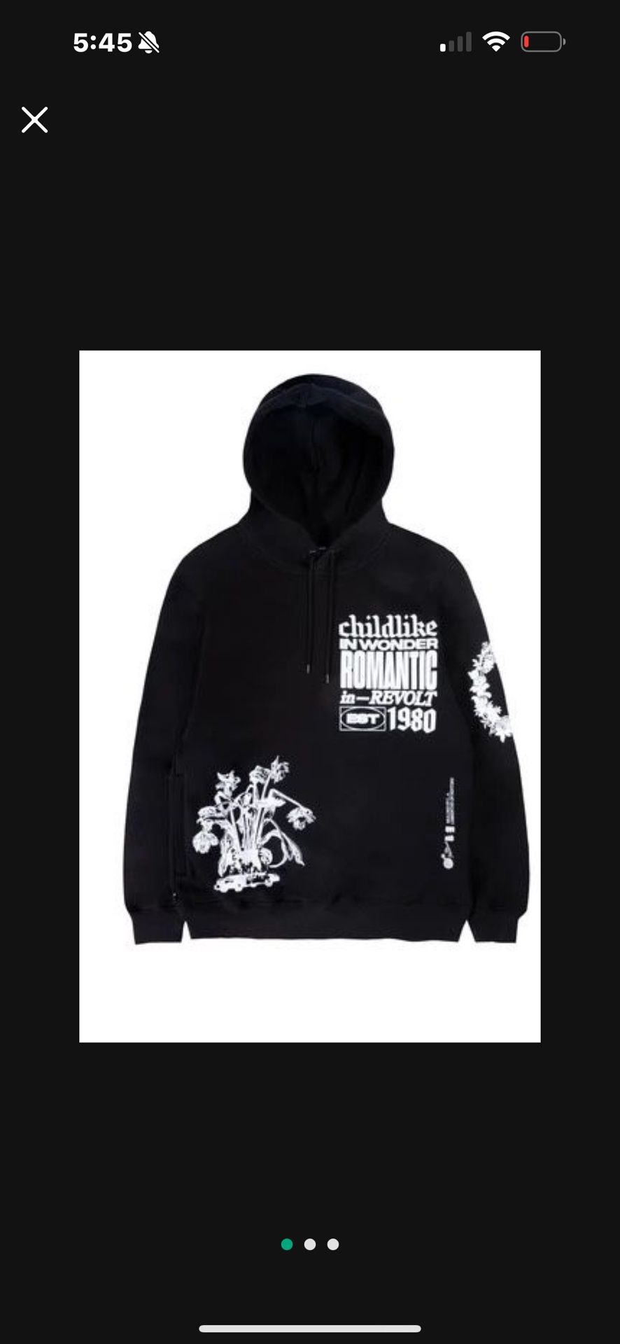 The Hundreds childlike in wonder romantic in revolt hoodie