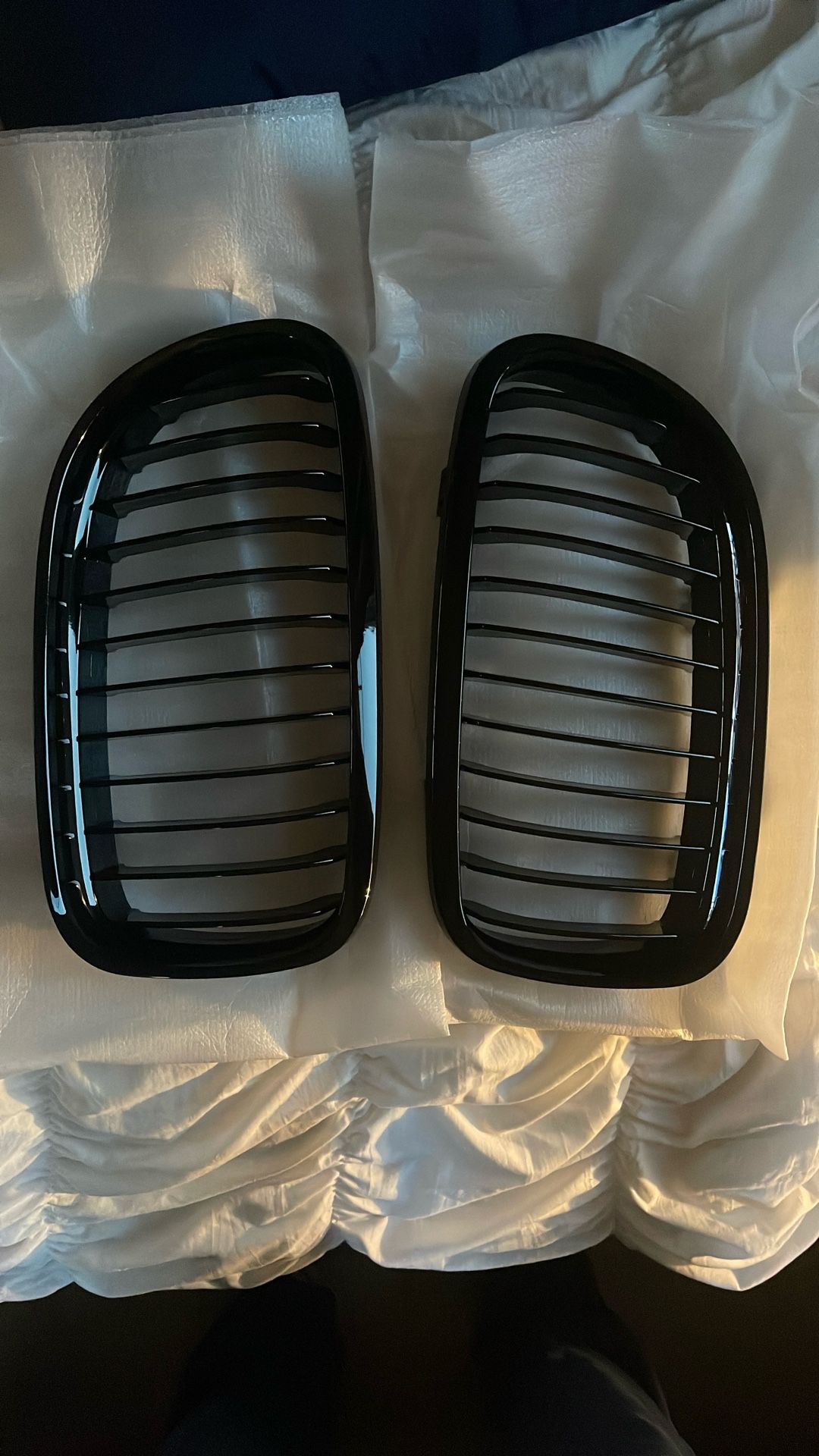 Kidney Grille BMW