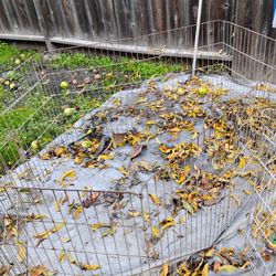 Playpens For Dogs 15.00 Ea