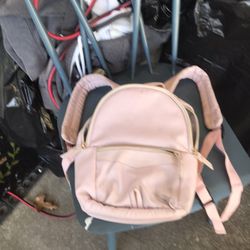 Very Nice Designer Backpack Only $20