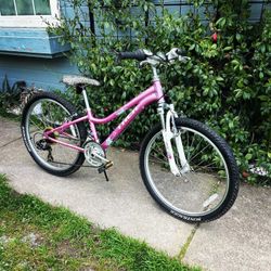 TREK MT220 YOUTH MOUNTAIN BIKE 24” Wheels 