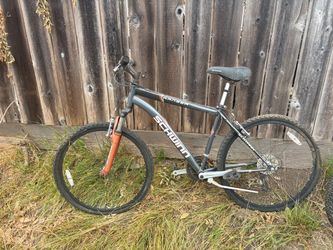 Schwinn bike pair need love!