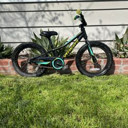 Specialized Child Bike