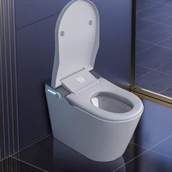 ❤️‍🔥 Elongated Electric Smart Bidet Toilet