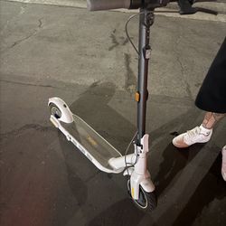 Fuji 3,0 Speed Bike,2 Giant Trance , Projector, Hollloween Mask