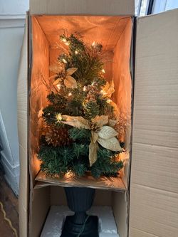 2 Martha Stewart Potted Poinsettia trees