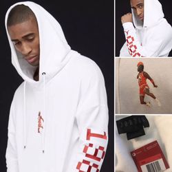 jordan wings lite 1988 fleece top