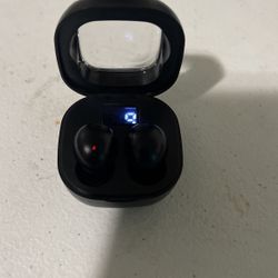 Earbuds/headphones