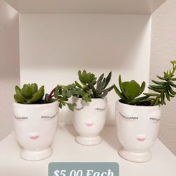 Mini Face Planters with Live Succulents - $5.00 Each