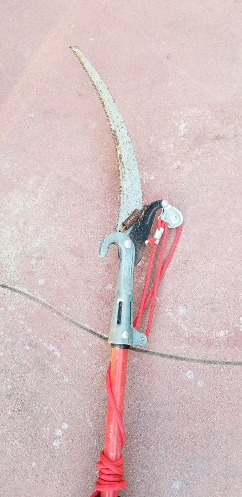 Pruning Poll